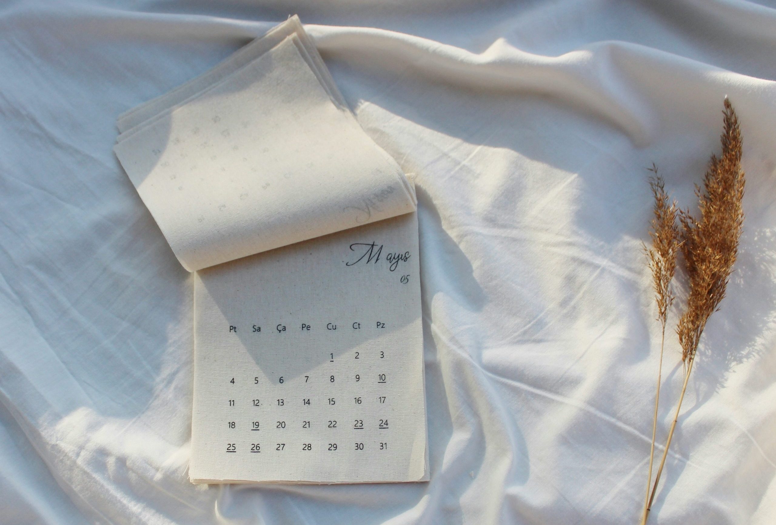 Ciclo y dolor menstrual: cómo aliviarlo de forma natural